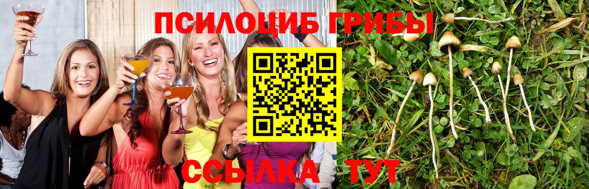 Галлюциногенные грибы Cubensis  Вход с VPN  Арзамас 